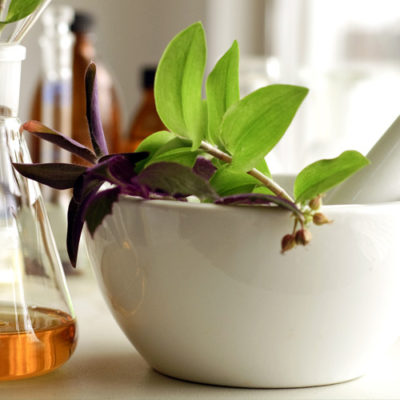Herbal Testing Enhances Acceptability Of Herbal Products