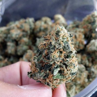 What Is A Dank Weed? Should I Take It Or Leave It?